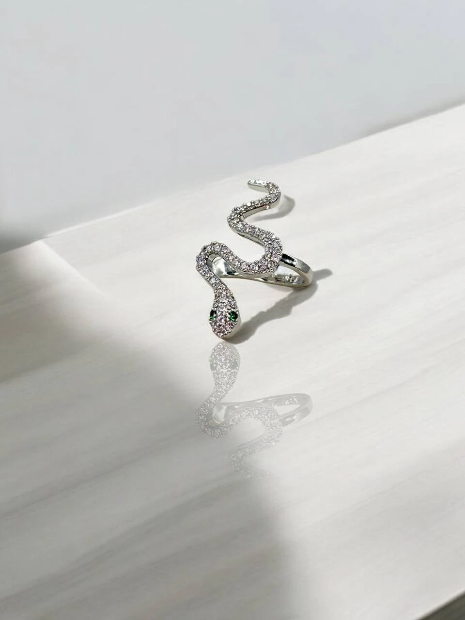 Free_spirited snake in silver