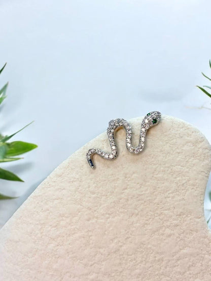 Free_spirited snake in silver