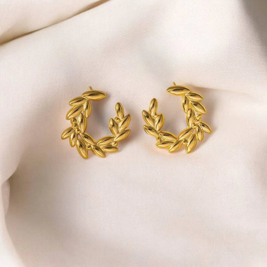 Elegance circle earrings