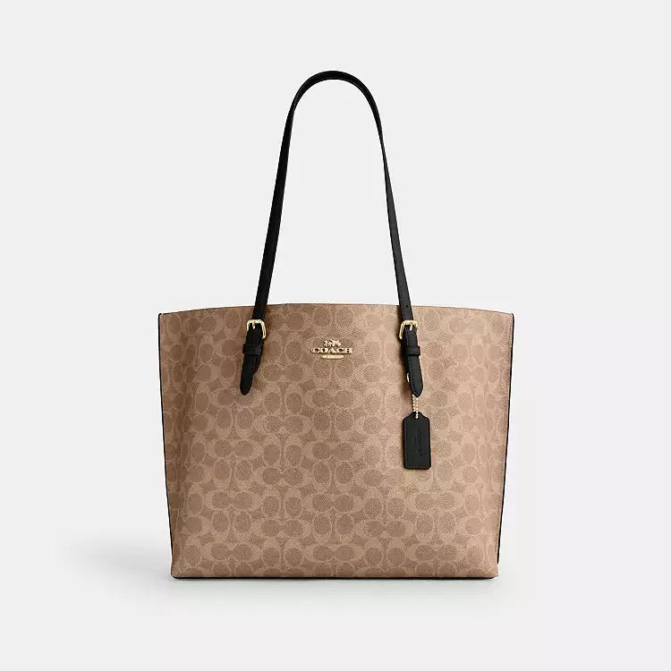 Royal Coach bag